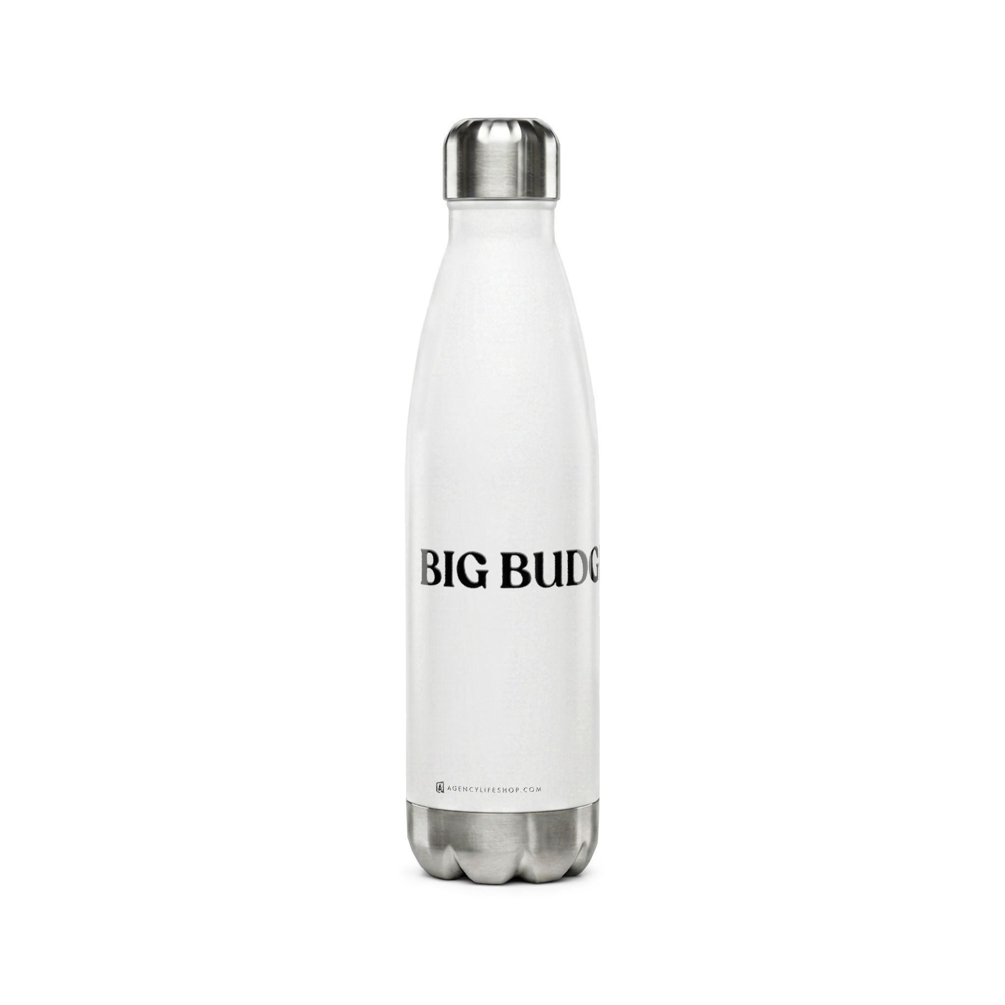 Big Budget Energy | 17oz Stainless Steel Water Bottle