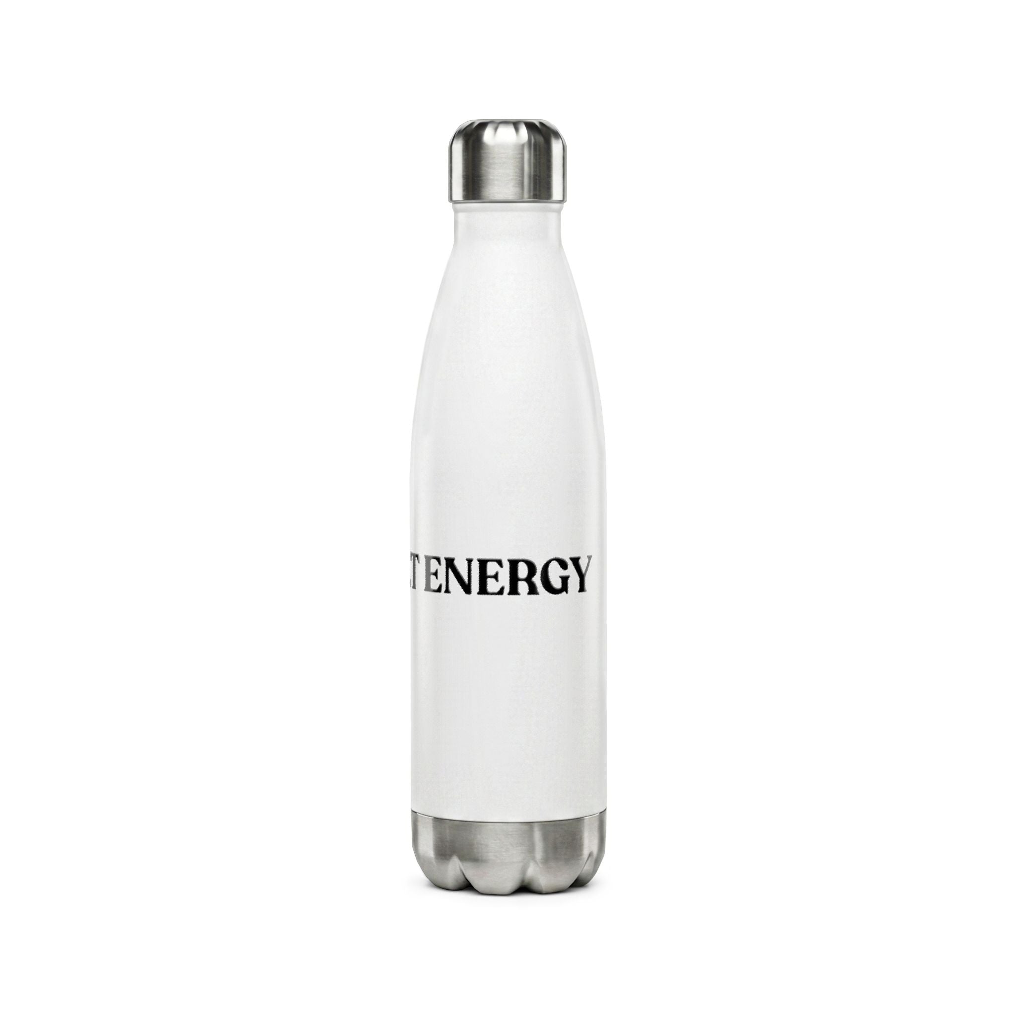 Big Budget Energy | 17oz Stainless Steel Water Bottle