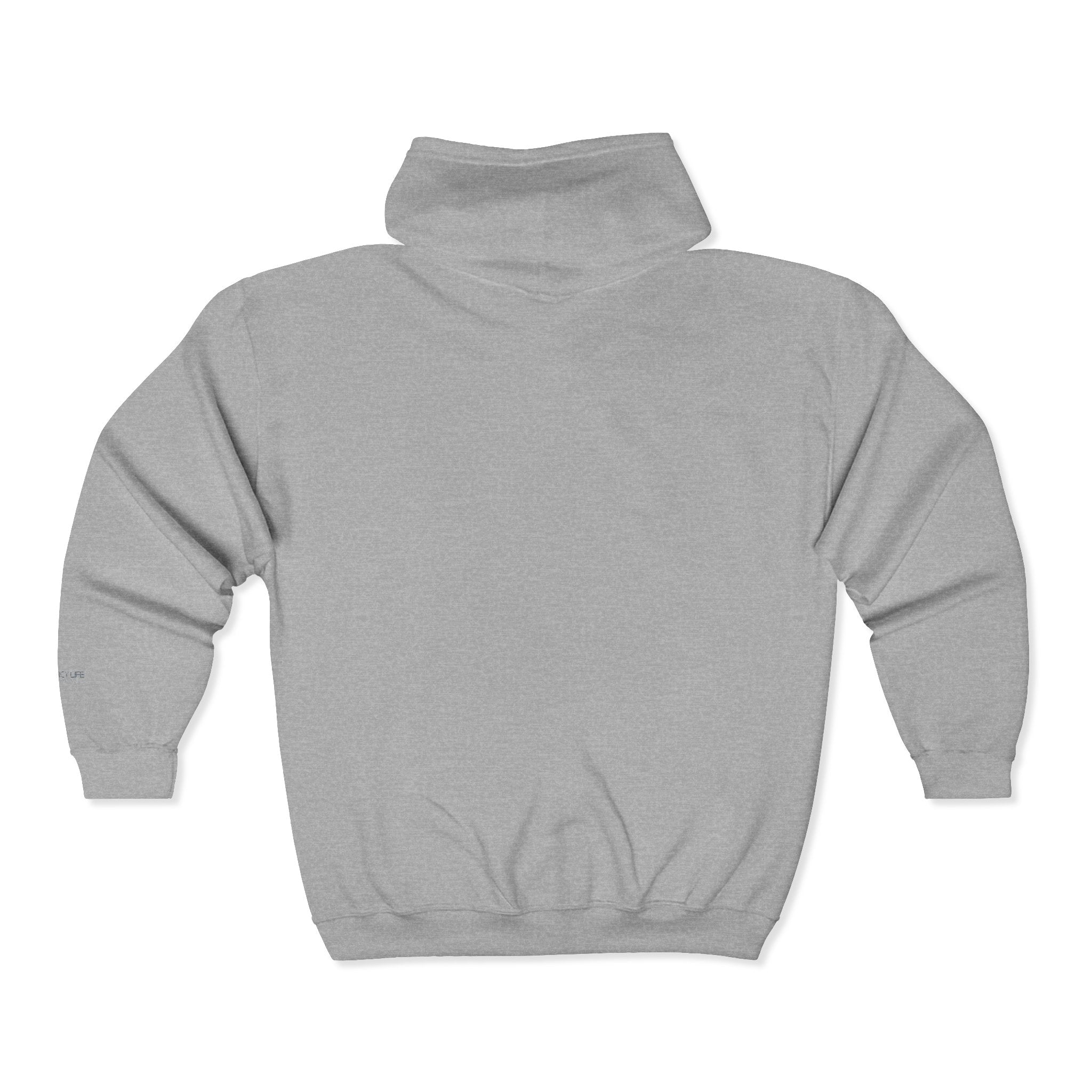 Talk Data To Me  | Retro Zip Embroidered Hoodie