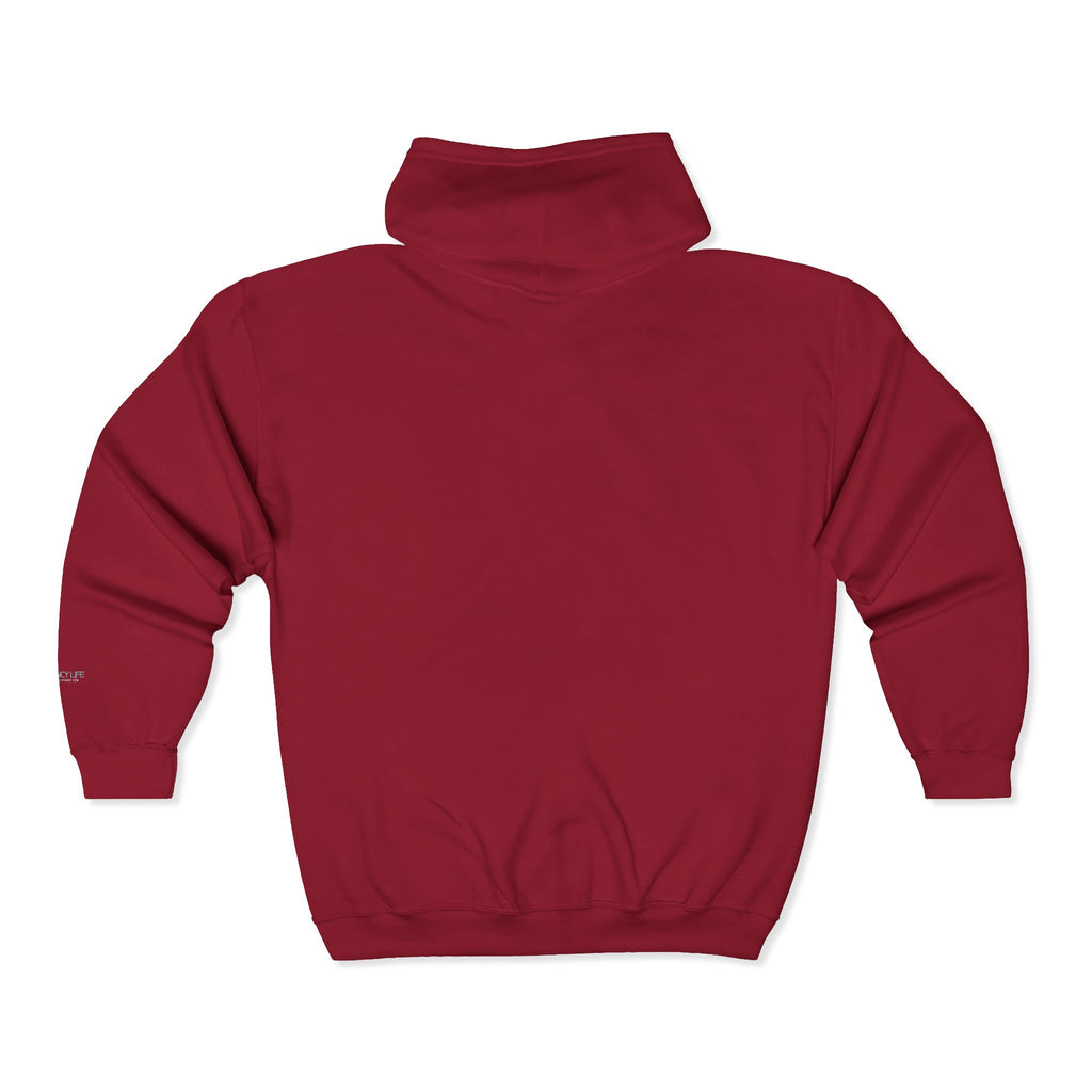 Talk Data To Me  | Retro Zip Embroidered Hoodie