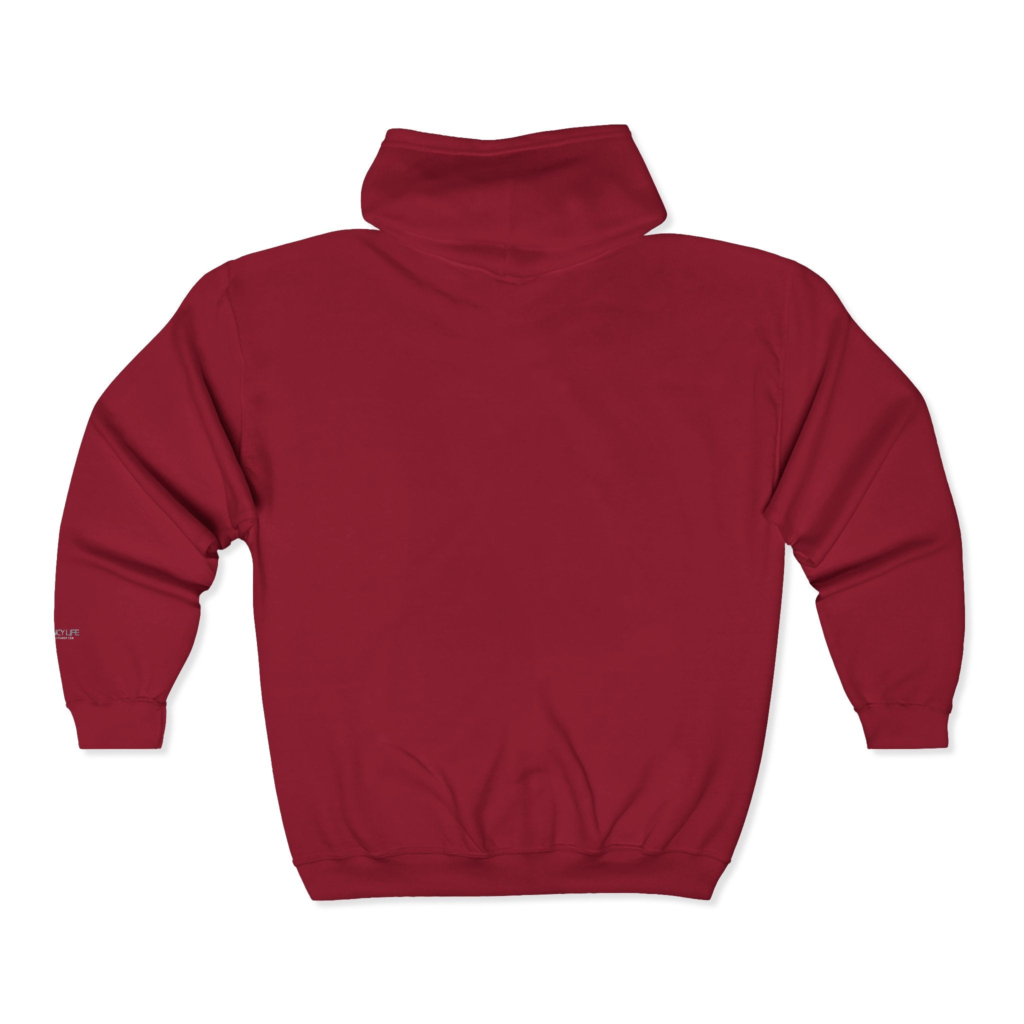 Talk Data To Me  | Retro Zip Embroidered Hoodie
