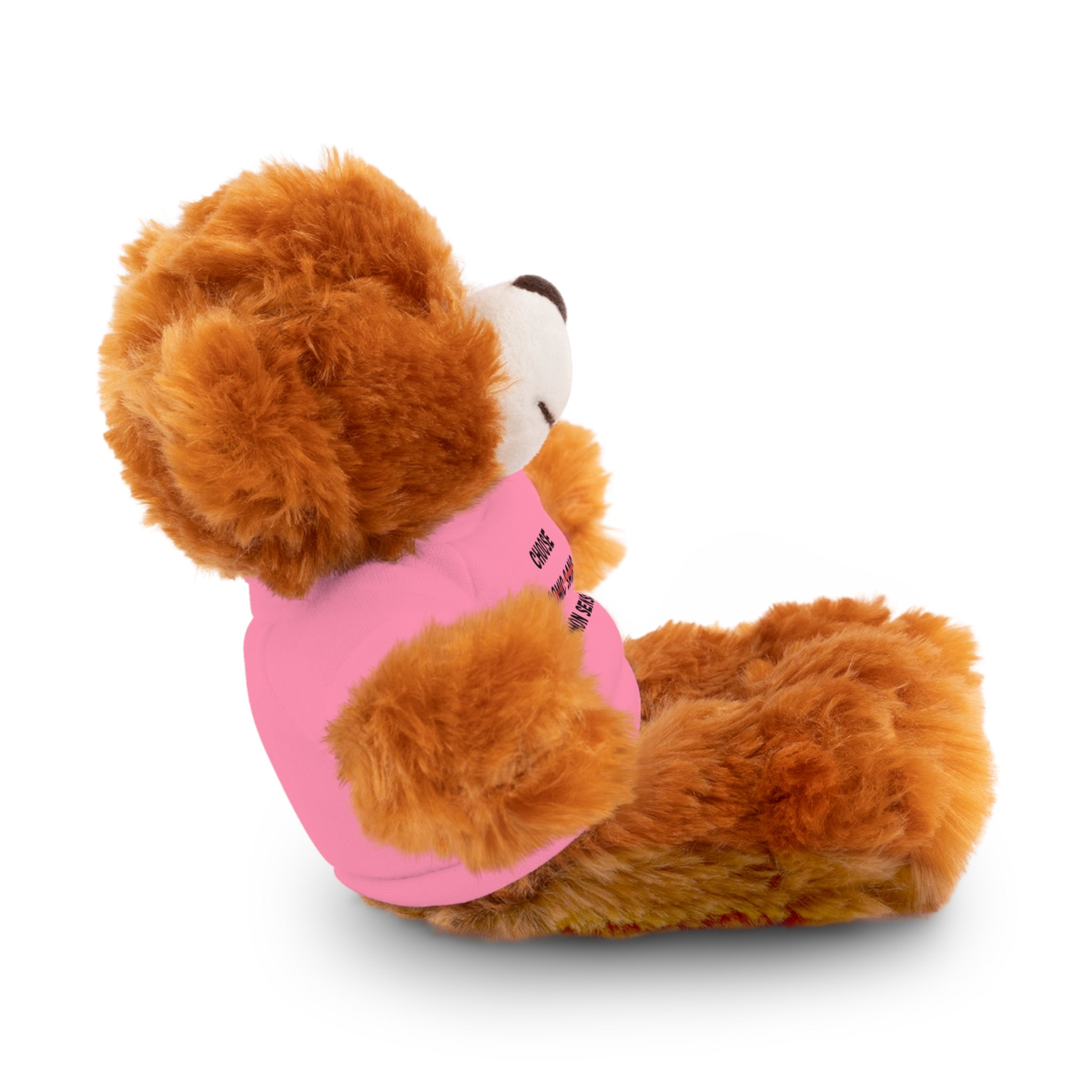 Choose Common Sense | Plush Stuffed Toy with Graphic Tee