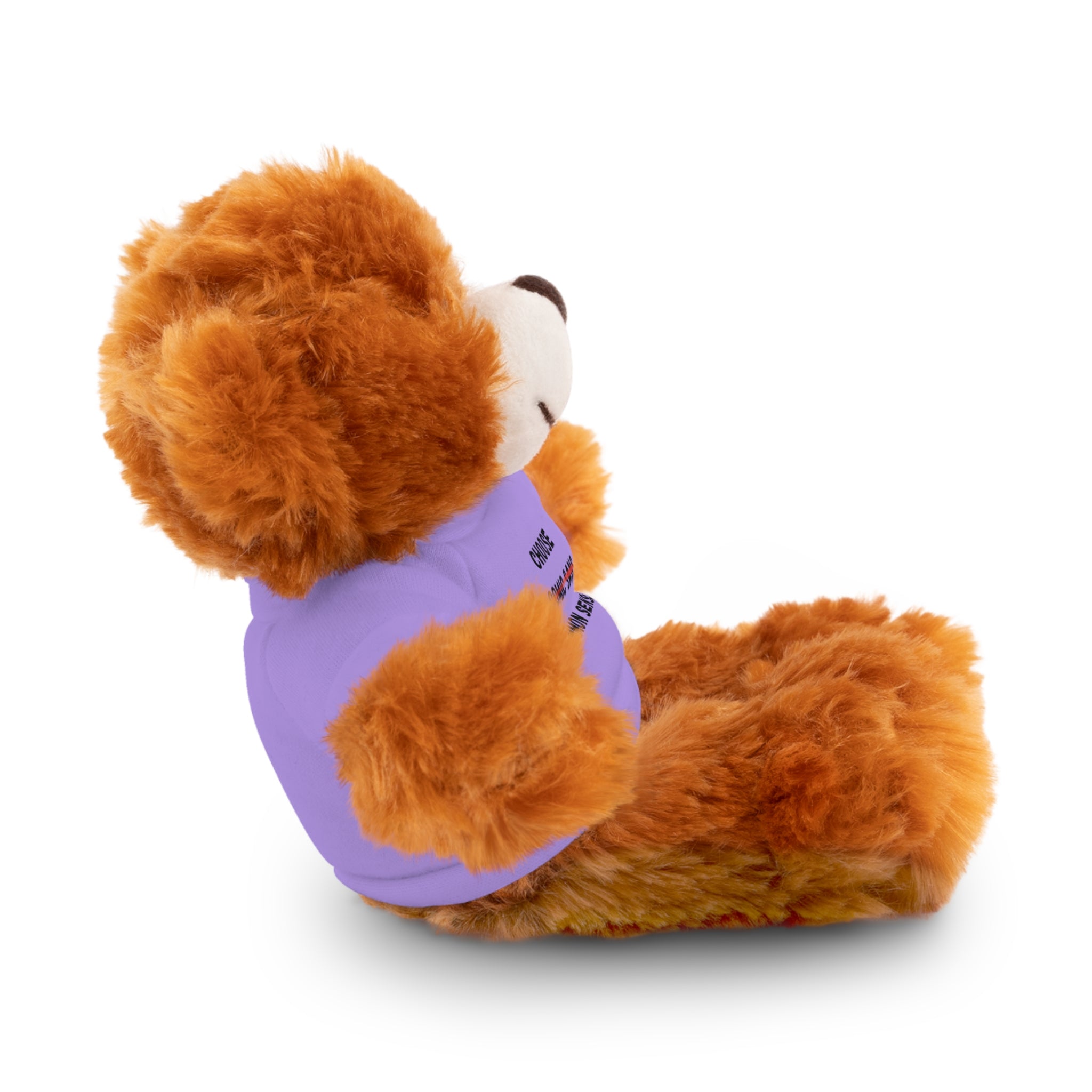 Choose Common Sense | Plush Stuffed Toy with Graphic Tee