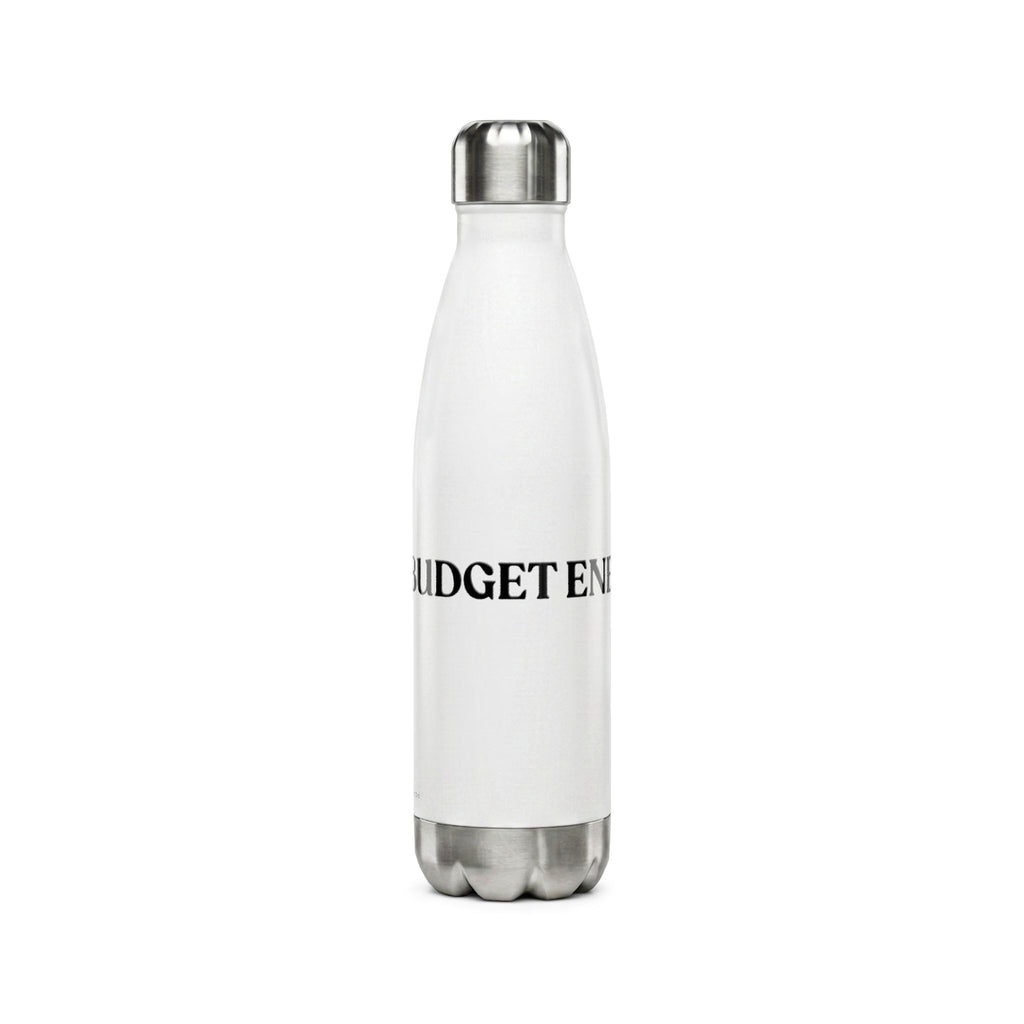 Big Budget Energy | 17oz Stainless Steel Water Bottle