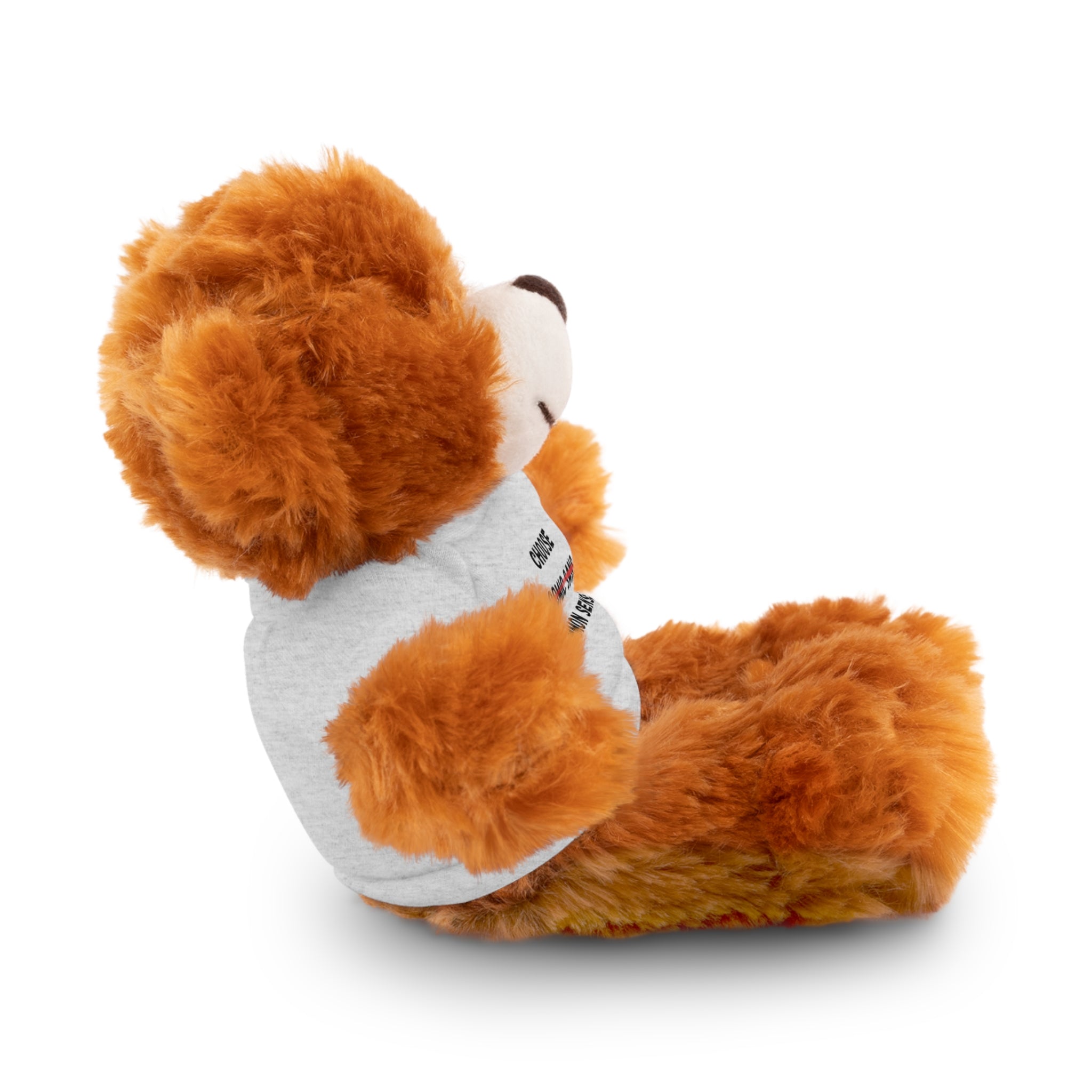 Choose Common Sense | Plush Stuffed Toy with Graphic Tee