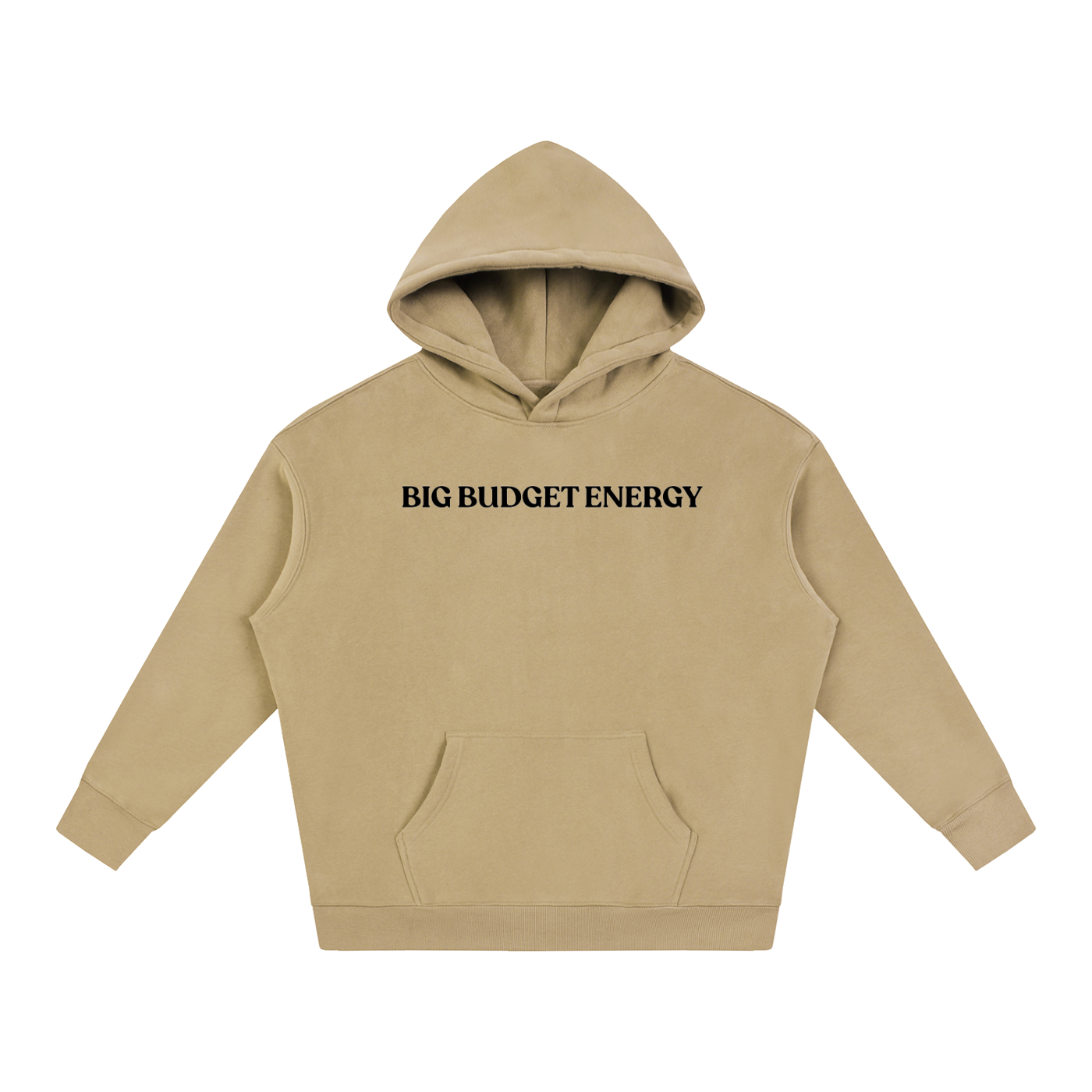 Big Budget Energy | Oversize Fleeced Hoodie