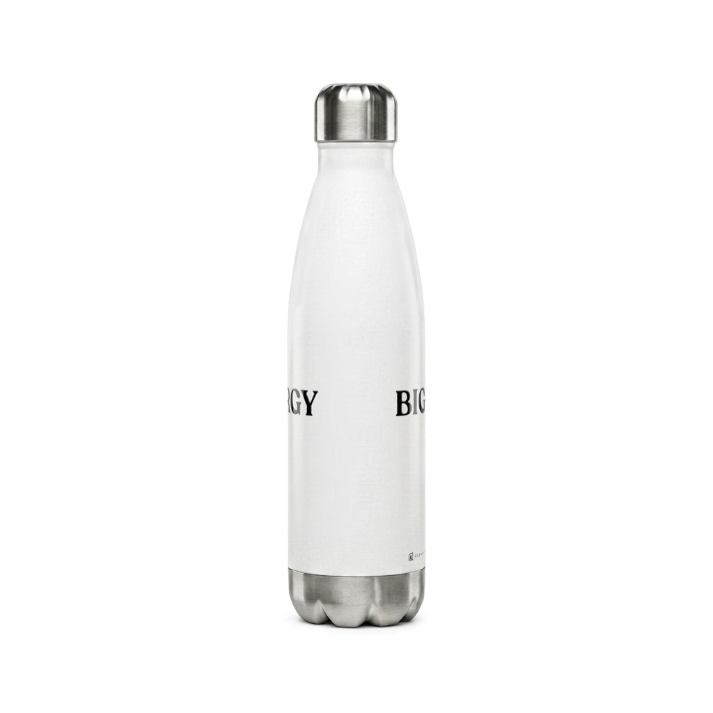 Big Budget Energy | 17oz Stainless Steel Water Bottle