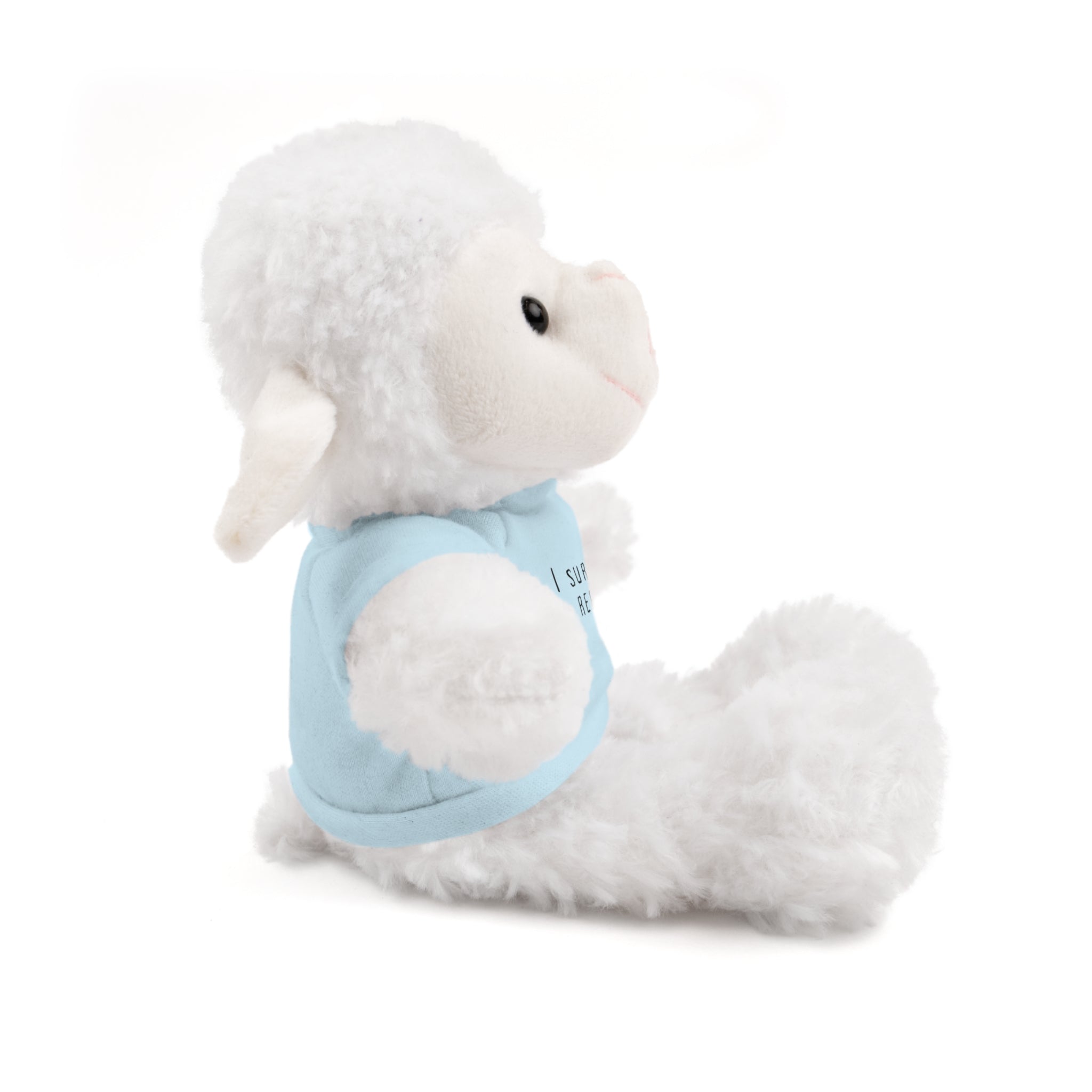 I Survived A Rebrand | Plush Stuffed Toy with Graphic Tee
